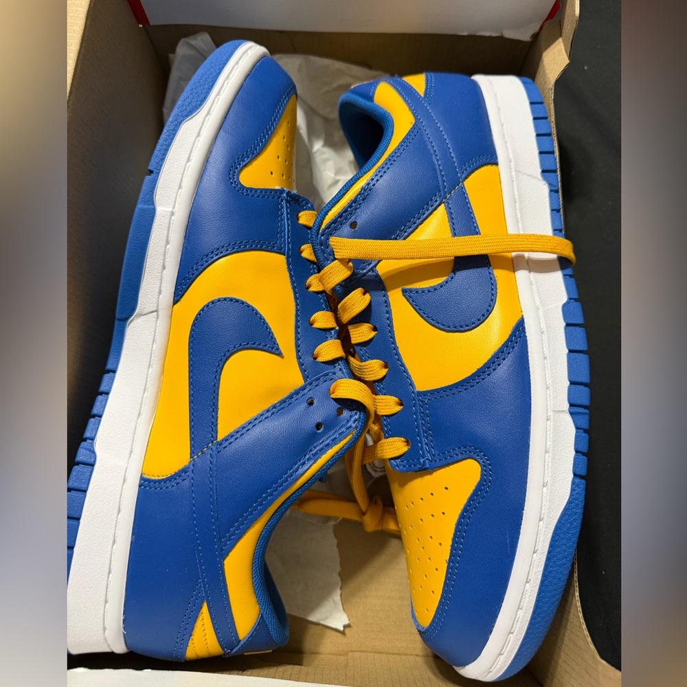 Brand new Nike dunks